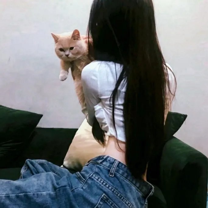 她和她的美丽岛